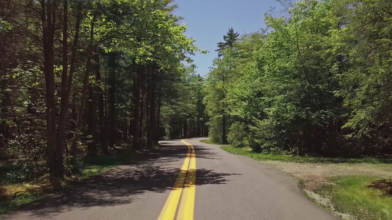 Flying-Driving Down WIndy Two Land Road Between Trees Through Forest On Sunny Day Cinematic HD Aerial