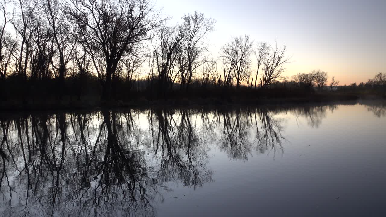 Reflections of Bare Trees on a Calm River at Dawn