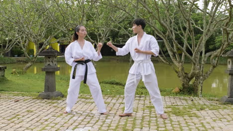 couple practising martial arts together