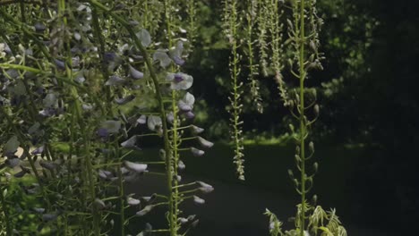 imágenes de unos bonitos jardines y la zona boscosa que lo rodea