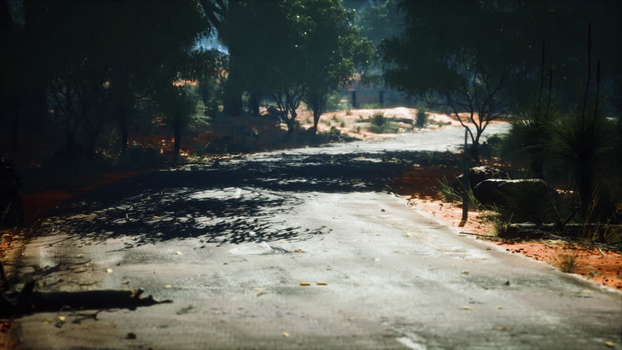 인도네시아의 발루란 공원의 정글 도로