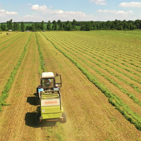 agricultural works on the field in a sunny day. tractor gathering dry grass on the natural green background outdoors.