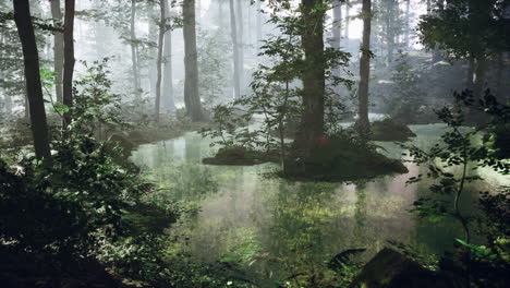 sunrise with sunbeams through the forest by the lake