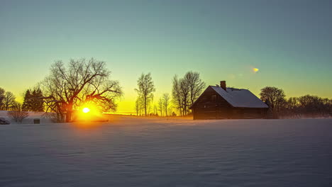 shadows from a golden sunset between the trees cross the snow - day to night time lapse