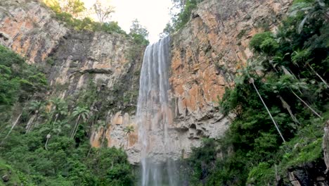 waterfall cascading in lush green forest