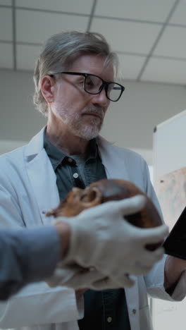 scientist examining a human skull in a laboratory