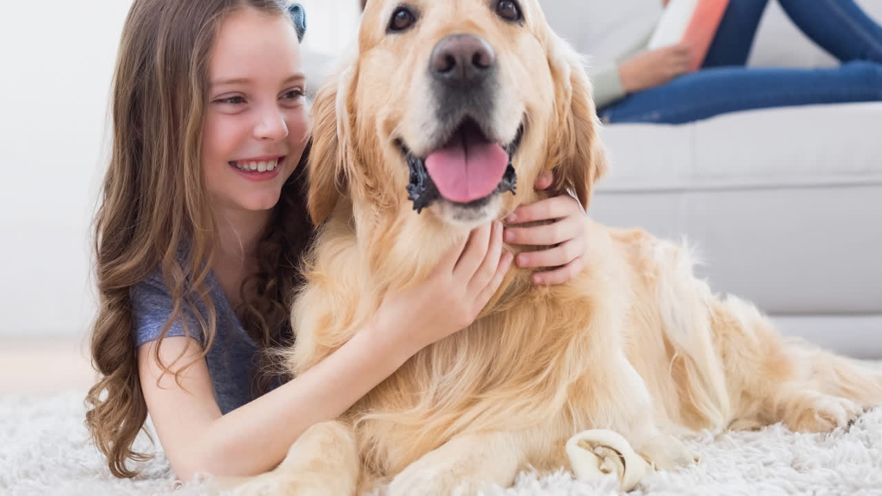 행복 한 백인 가족 과 함께 귀여운 라브라도르 애완 동물 개 의 애니메이션