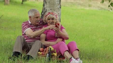 Picknick-Am-Familienwochenende.-Älteres-Altes-Großelternpaar-Im-Park-Mit-Smartphone,-Online-Browsing,-Chat