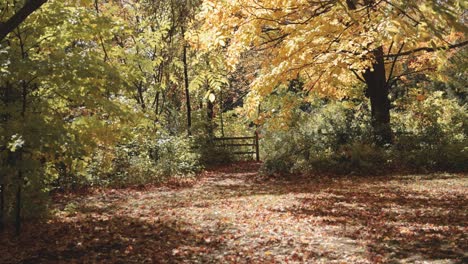beautiful autumn setting in the back yard at a farm in gatineau quebec