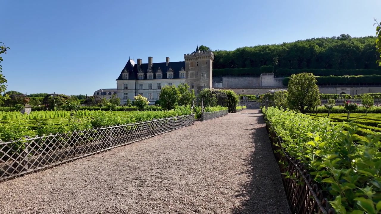 L'iconico Castello di Villandry si erge sopra i suoi giardini ornamentali in piena fioritura all'inizio dell'estate in Francia