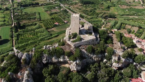 this is a zoom out video that shows luscious green fields and vineyards near a castle. the video pans right showing the deep blue water coastline