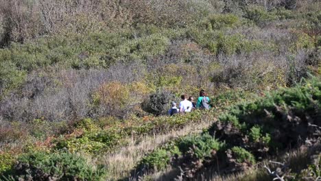 people-in-the-distance-walking,-with-bushy-vegetation,-english-south-coast,-dorset