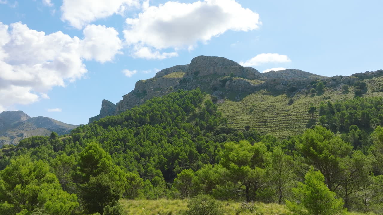 Mountainous Forest Landscape Under a Cloudy Sky