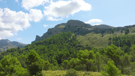 mountainous forest landscape under a cloudy sky
