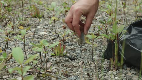 close up of an environmental garbage clean up in forest wilderness