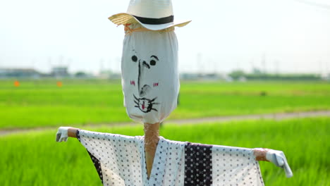 japanese scarecrows in rice paddy field wearing kimono 4