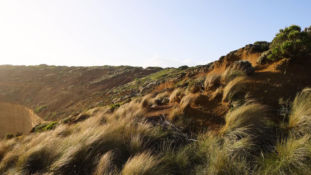 colinas costeras con vegetación herbácea