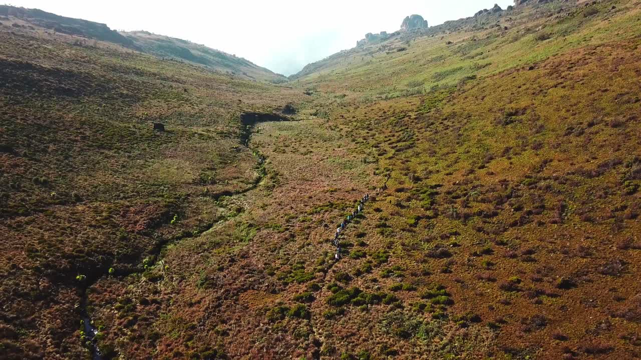 excursionistas en exóticos senderos forestales junto con el arroyo del río en el parque nacional del monte elgon en kenia, áfrica oriental