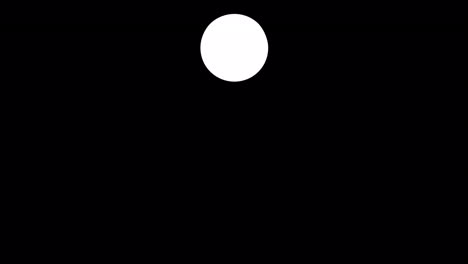 yo-yo 01
