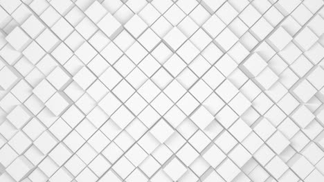 corporate silver squares