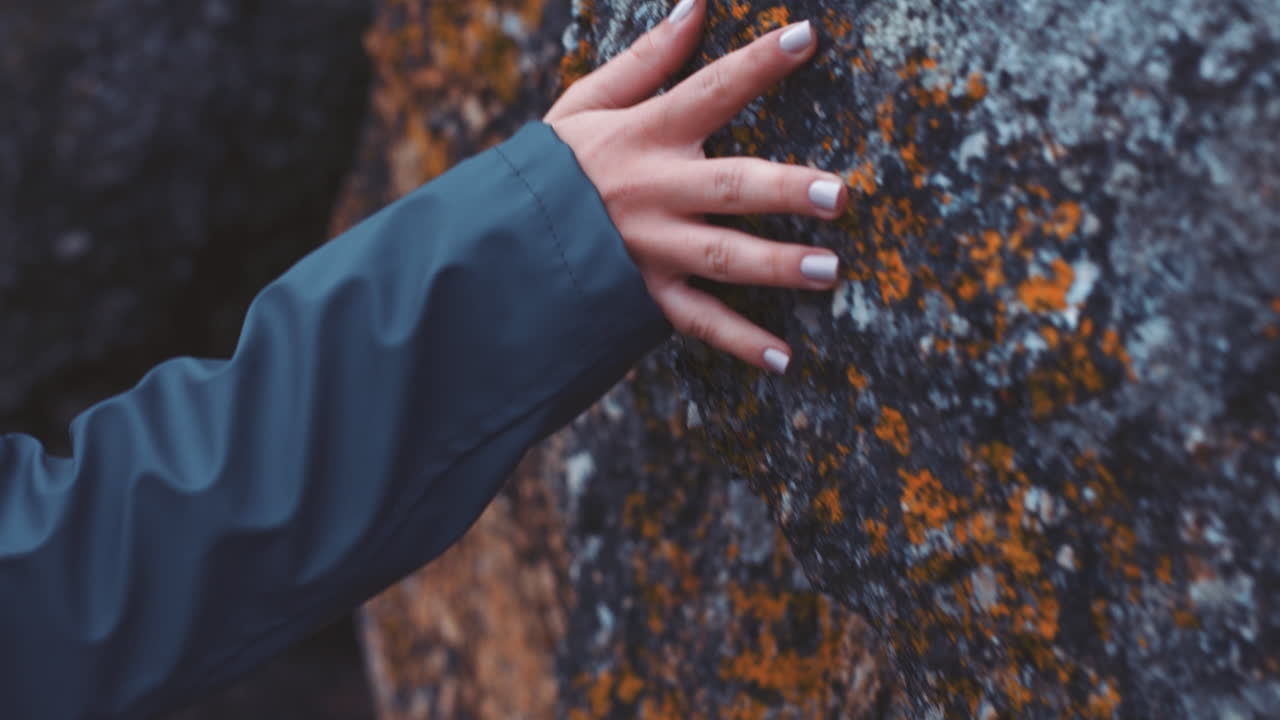 Hands, rock and nature with the hand of a woman