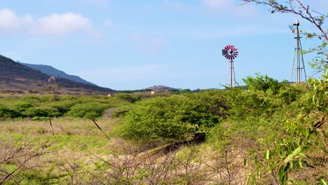 4k-60fps-static-shot-of-windpumps-standing-and-spinning-in-rural-farm-field-in-the-Caribbean