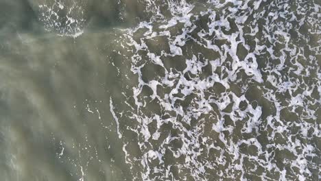 top-down drone footage captures gentle ocean waves rolling onto a sandy beach in port douglas, australia, under soft natural daylight with smooth camera movement