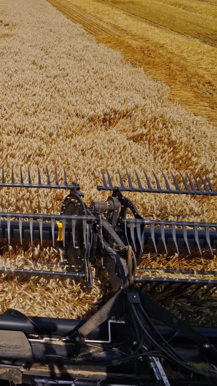 Metal detail of combine harvester. Modern combine harvesting wheat on the field in summer. View from agricultural machine. Close-up. Vertical video