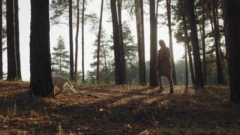 a woman with a dog walks among tall pines in the forest