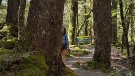 Schieberegler,-Wanderin,-Die-Am-Fernen-Routeburn-Track-Schild-Im-Sonnendurchfluteten-Wald,-Neuseeland,-Vorbeigeht