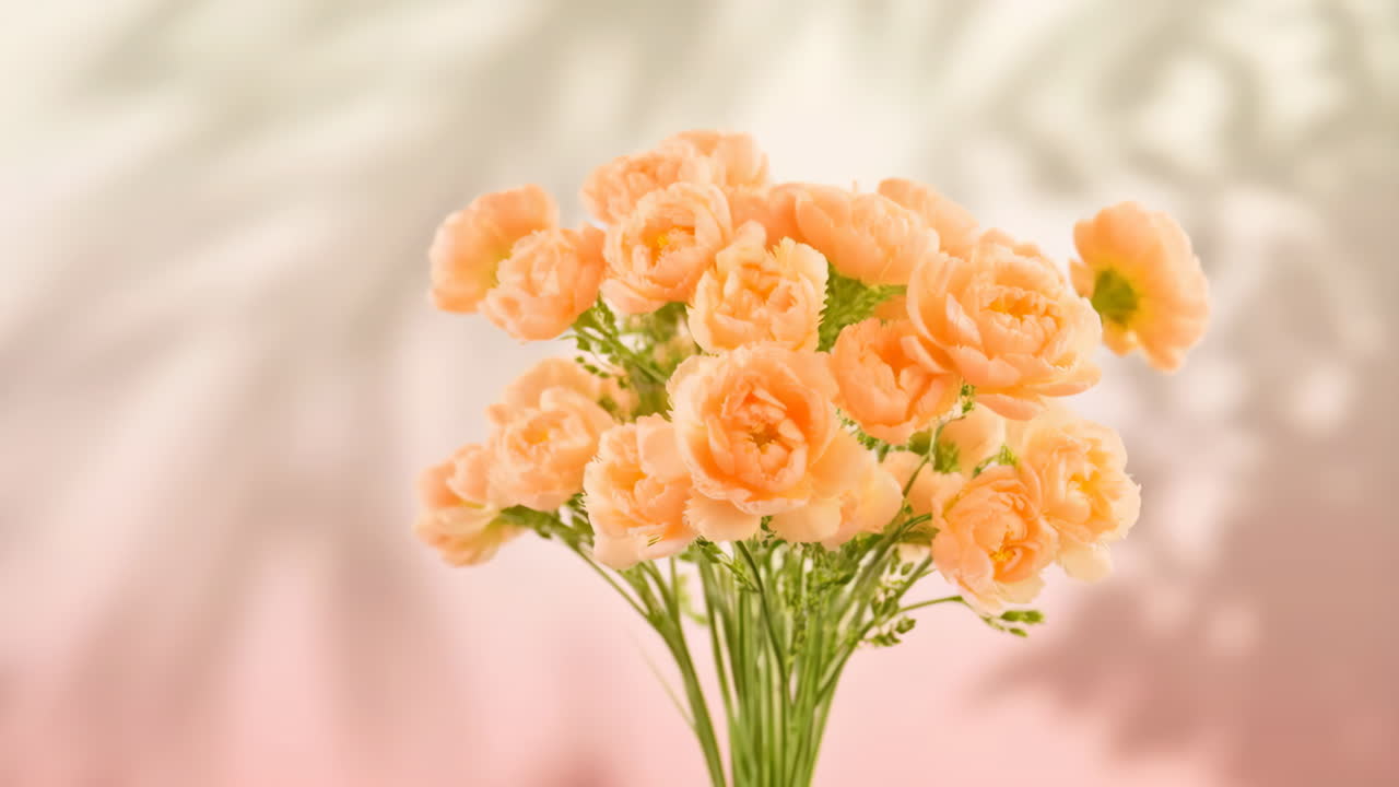 Delicate Peach Flower Bouquet with Soft Background Shadows