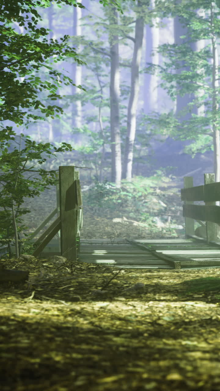 Ponte di legno attraversa un sentiero sterrato in un bosco di giorno, illuminato dal sole.