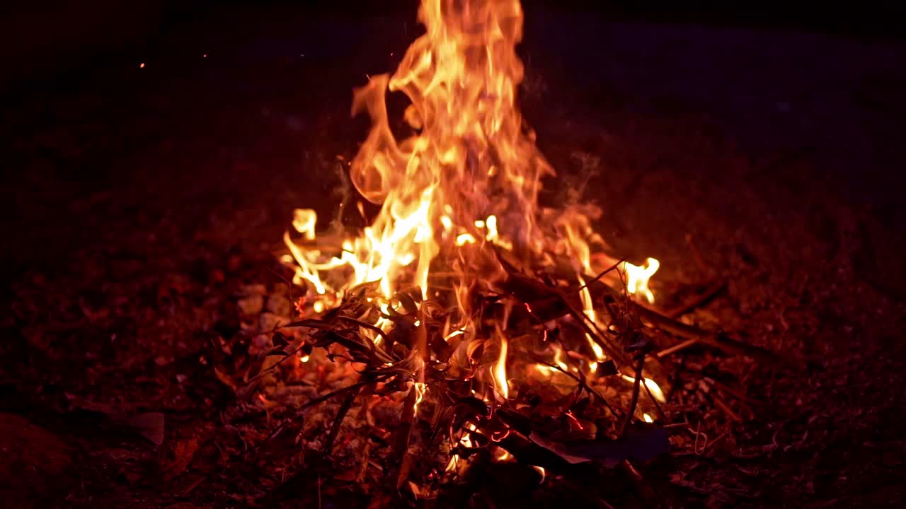 Female's hand adds some branches into fire. Vivid flame with sparks. Camp fire embers and flames popping, exploding, and burning against a dark night. Dangerous ritual on fire.