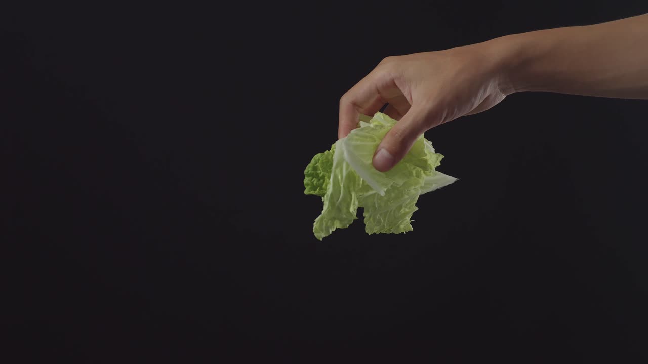 mano sosteniendo un pedazo de repollo chino