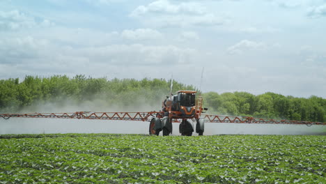 cuidado de las plantas del agricultor, pulverización de pesticidas, fertilizantes agrícolas