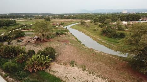 aerial view egret birds fly