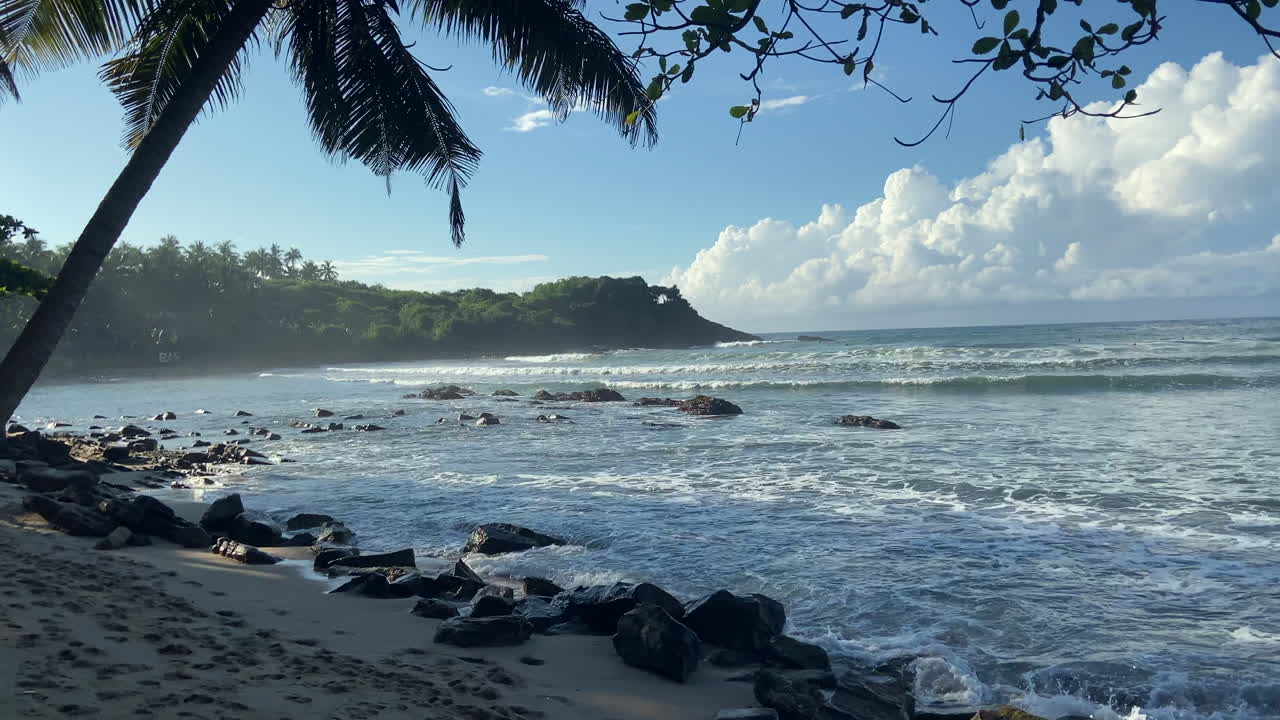 estableciendo una toma estática de mano de la playa y la bahía en la costa sur de sri lanka con palmeras y rocas pequeñas olas playa de hiriketiya