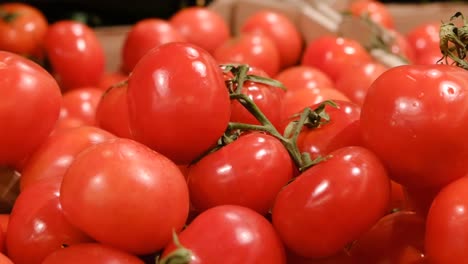 close-up shot of unknown young woman examining tomatoes taking them from cardboard box in grocery store