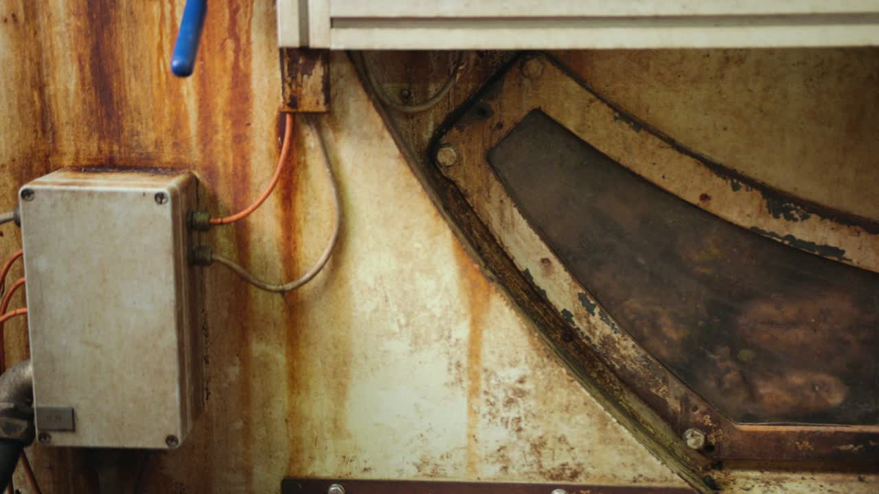 remolacha azucarera en la fábrica de azúcar de remolacha, vehículo agrícola, verduras