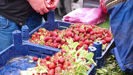 strawberries at a farmer's market