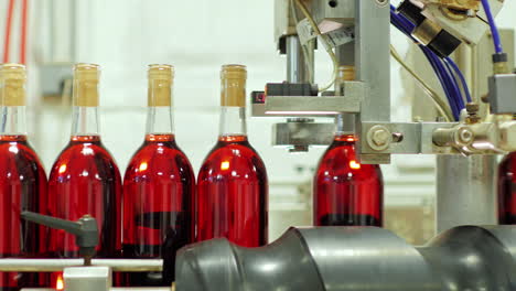 bottles of red wine move on a conveyor belt 15