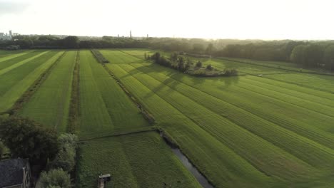 Cámara-Lenta-Aérea-De-La-Hermosa-Campiña-Holandesa-Durante-La-Puesta-De-Sol-Con-Bonitas-Sombras-De-Los-árboles-Verdes