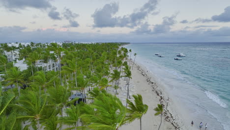 coconut palm trees over the coast of punta cana in dominican republic