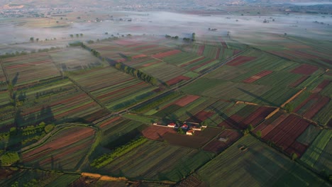 Amanecer-En-Coloridas-Parcelas-De-Primavera-En-Los-Campos-Agrícolas-De-La-Mañana-Florecidos-Con-Vegetación-Diversa,-Rayos-De-Sol-En-Europa