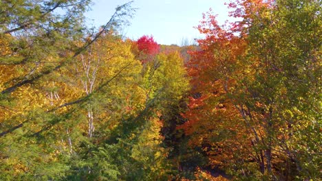 Soaring-through-the-natural-beauty-of-Montreal,-Canada,-during-the-autumn-season