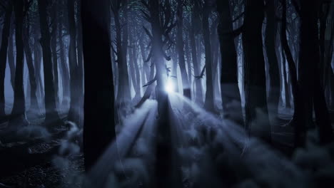 mystical dark forest with ethereal light rays