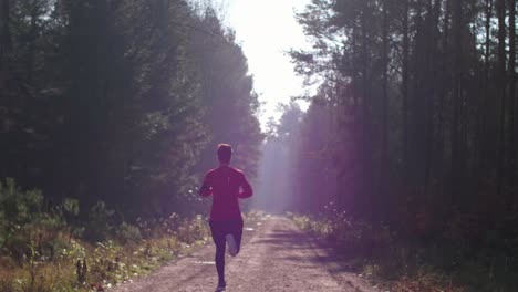 Rückansicht-Eines-Mannes,-Der-Im-Wald-Läuft