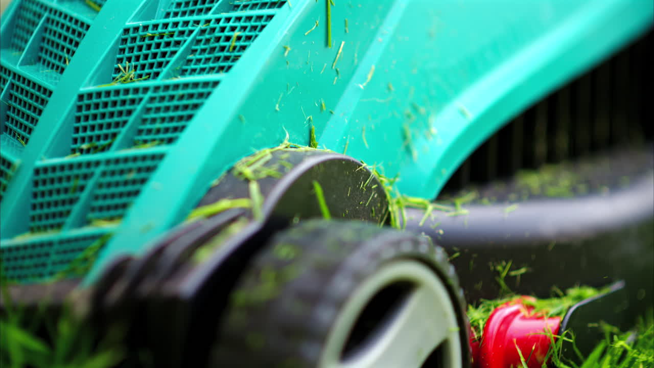 Close up of turquoise lawn mower machine cutting the grass