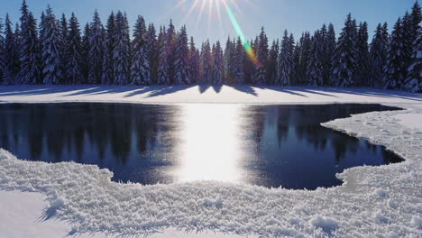 lago congelado en un bosque nevado