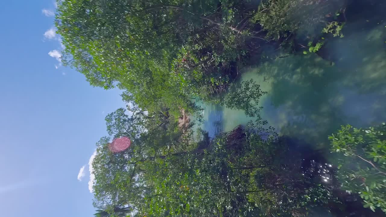 Vertical Flight in tropical rainforest of Samana above transparent river in summer
